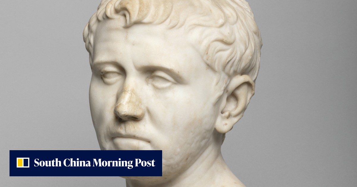 Texas woman's US$35 thrift store find turns out to be ancient Roman bust - Vimarsana News