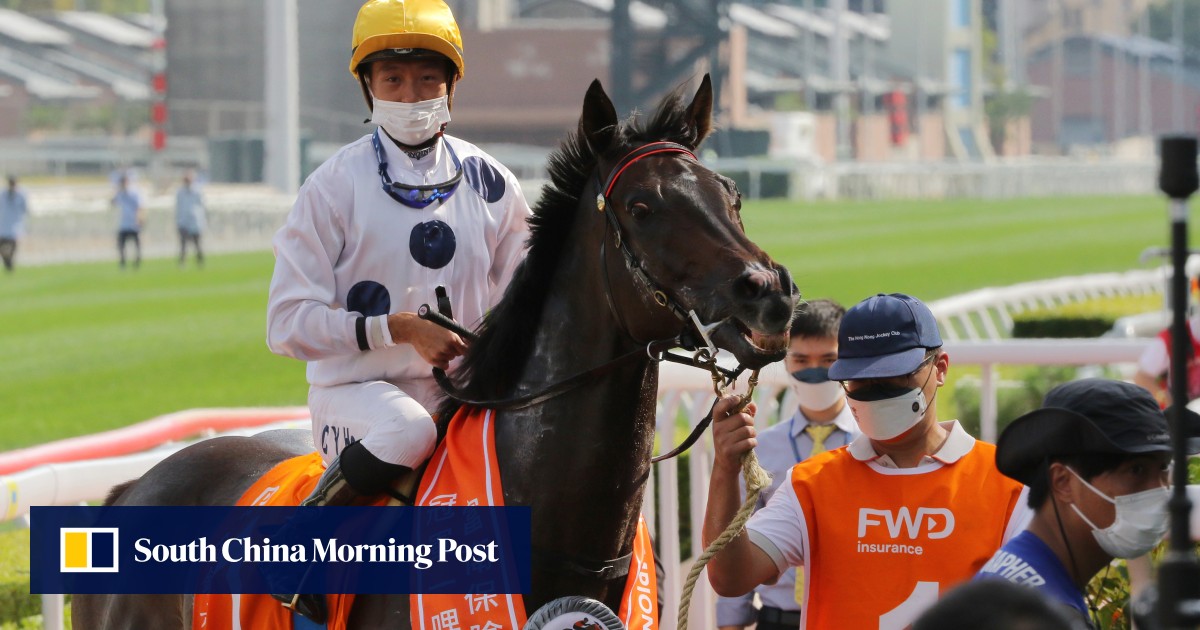 No Japan For Golden Sixty I Just Feel Bad For The Horse He Deserves A Lot More Than This Hk Racing South China Morning Post