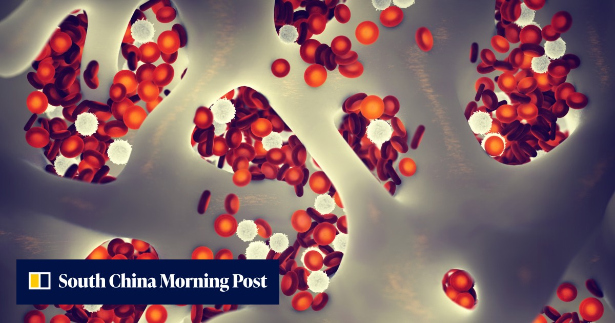 Chinese scientists may have found 'vampire' secret allowing old mice to live longer using young blood - Vimarsana News