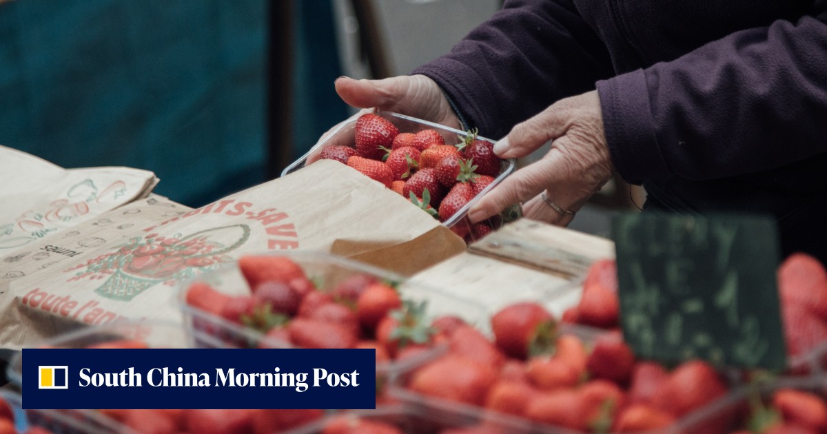 US and Canadian health regulators tie recent hepatitis outbreak to strawberries - Vimarsana News