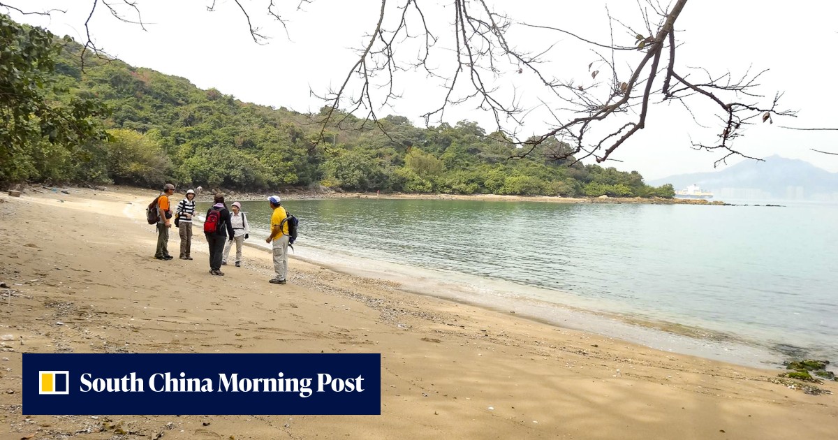 Hong Kong police investigate suspected drowning of 2 in waters off Lantau Island - Vimarsana News