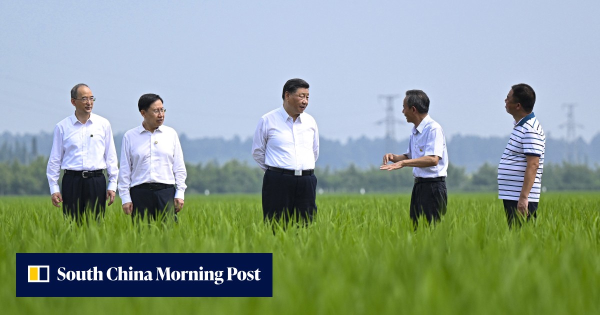 Xi tour highlights modern farmland role to boost China's food security - Vimarsana News