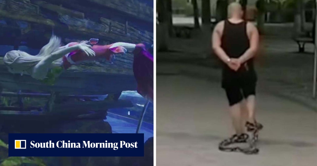 Quirky China: an animal activist performing 'mermaid', not any old iron man and the temple of doom - Vimarsana News