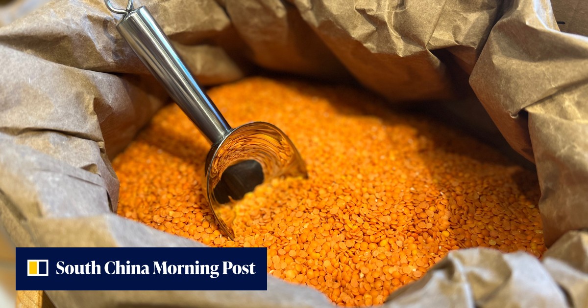 Zero-waste bulk food and eco-friendly product retailer Live Zero in Hong Kong to open new flagship store, part of founder's fresh strategy - Vimarsana News