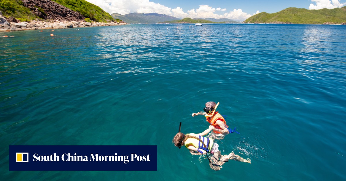 Divers angered by Vietnam ban to protect damaged coral reefs, blaming fishing boats for the problem - Vimarsana News