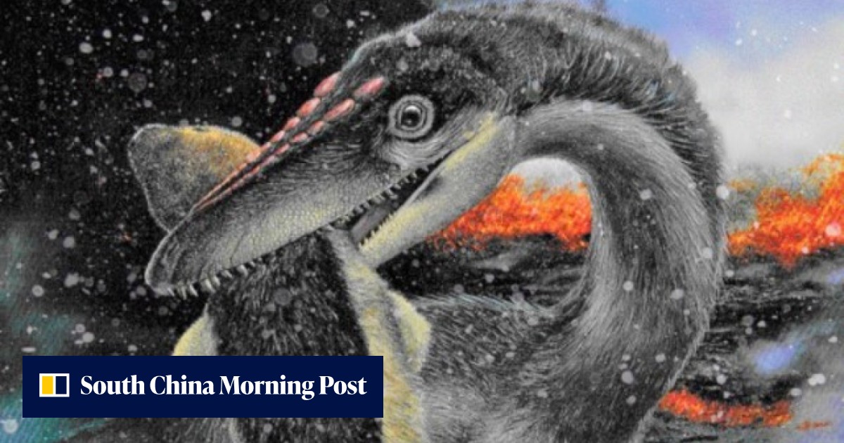 Footprints in China show dinosaurs came in from the cold to rule the world, say scientists - Vimarsana News