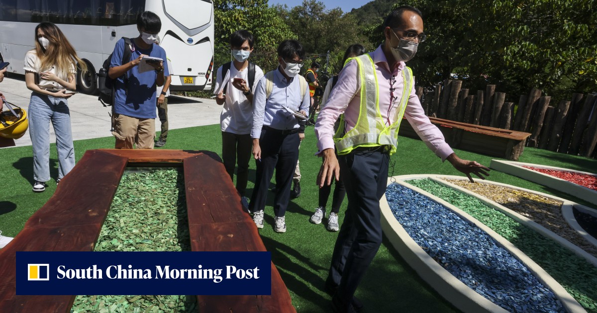 Furniture from toppled trees: Hong Kong 'yard waste' recycling centre turns discards into new products - Vimarsana News