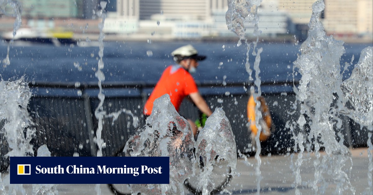 Four eco-friendly Hong Kong businesses that will keep you cool all summer - Vimarsana News