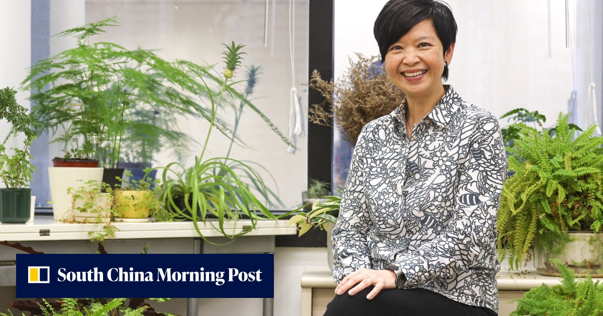 Hong Kong government's 100-day report: housing minister aims to cut waiting times, but no quick fix for shortage of homes - Vimarsana News