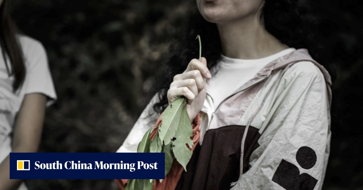 Forest bathing benefits and how trying it in Hong Kong is a great way to take a break from the high-stress lifestyle - Vimarsana News