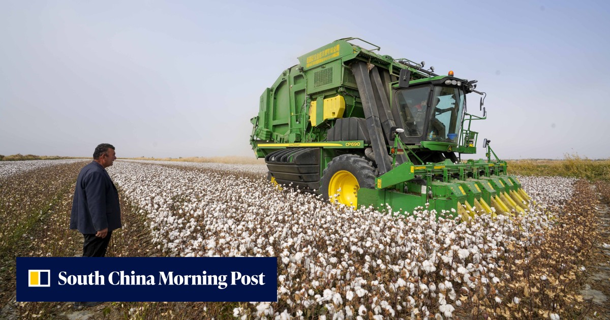 Xinjiang exports to US hit two-year high despite Uygur Forced Labour Prevention Act taking effect - Vimarsana News