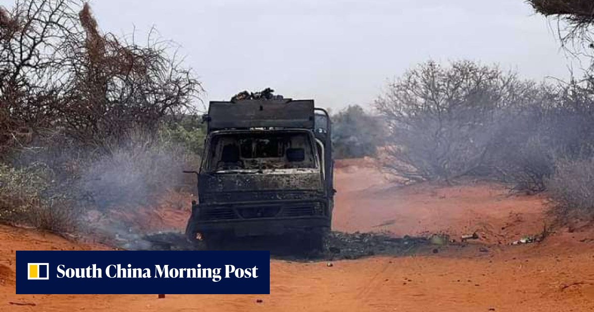 Al-Shabab extremists kill at least 20, burn food trucks in Somalia - Vimarsana News
