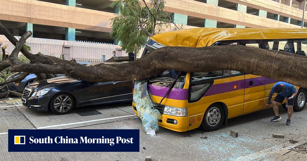 Hong Kong development chief vows to review policy by setting up task force after tree crashes onto school bus - Vimarsana News
