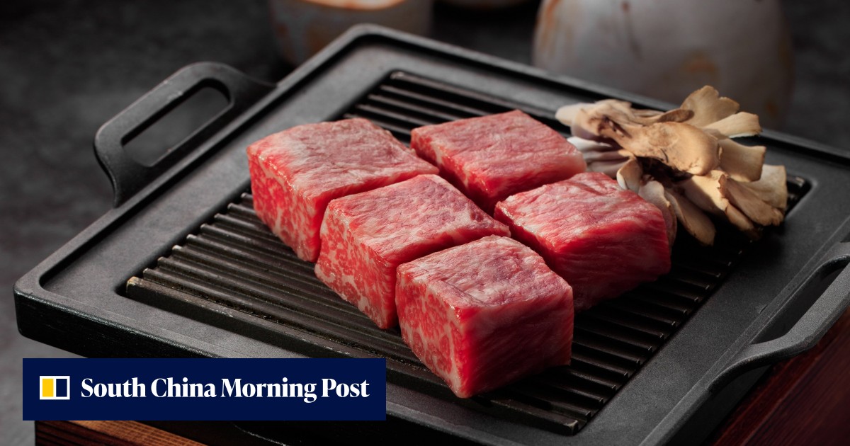 Japan's 'Wagyu Olympics' and how the best beef is selected by restaurants and retailers in Hong Kong - Vimarsana News
