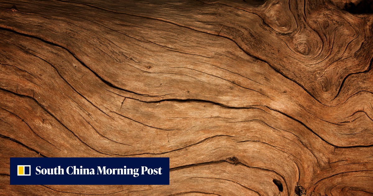 Glowing report from China-led study into wood's fake-fighting potential - Vimarsana News