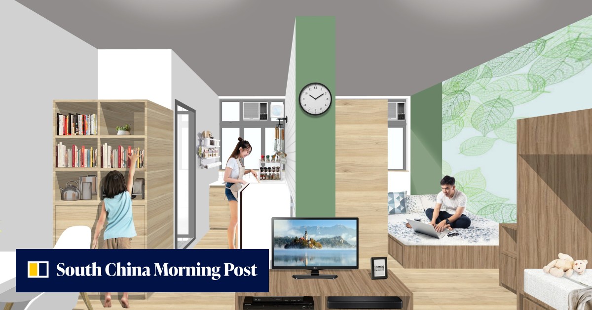 Artist's impressions of new and improved Hong Kong 'light public housing' unveiled by minister - Vimarsana News