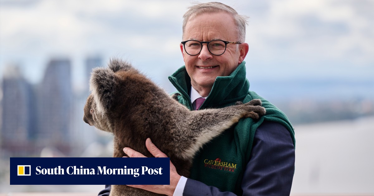 Australia-China relations: Albanese says meeting China's Xi 'would be a positive thing' - Vimarsana News