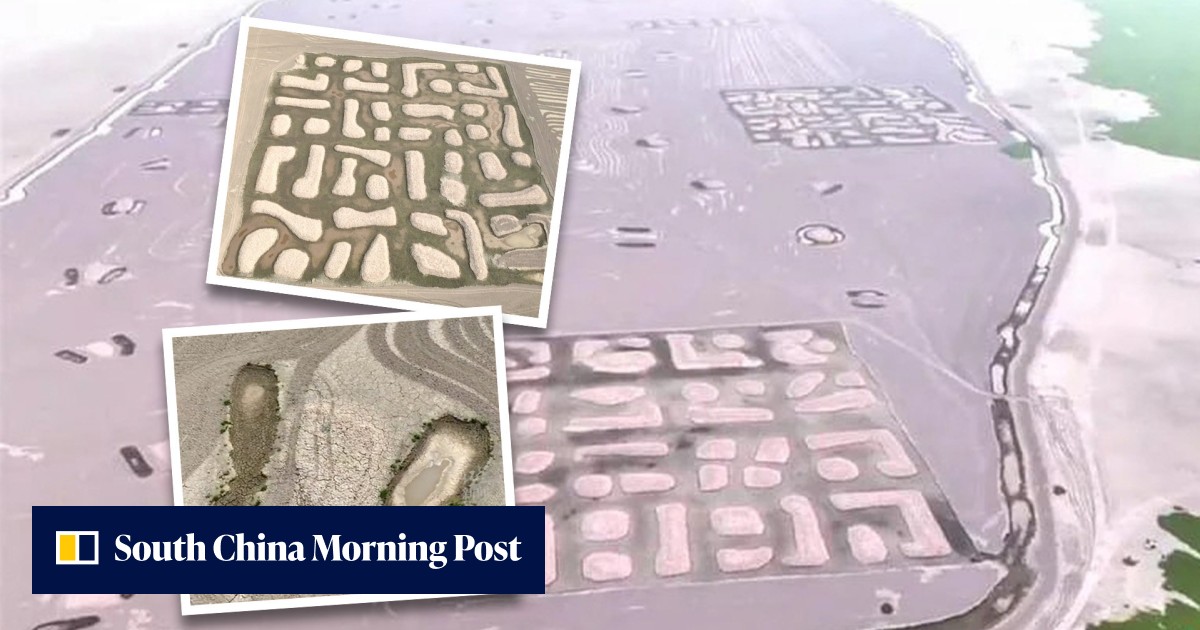 'Definitely aliens': drying Chinese lake bed reveals mysterious patterns which officials say are old fish traps but online conspiracy theories abound - Vimarsana News