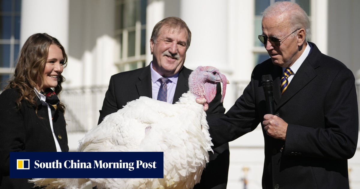 No 'fowl play', no 'ballot stuffing', Joe Biden jokes at Thanksgiving turkey pardon - Vimarsana News