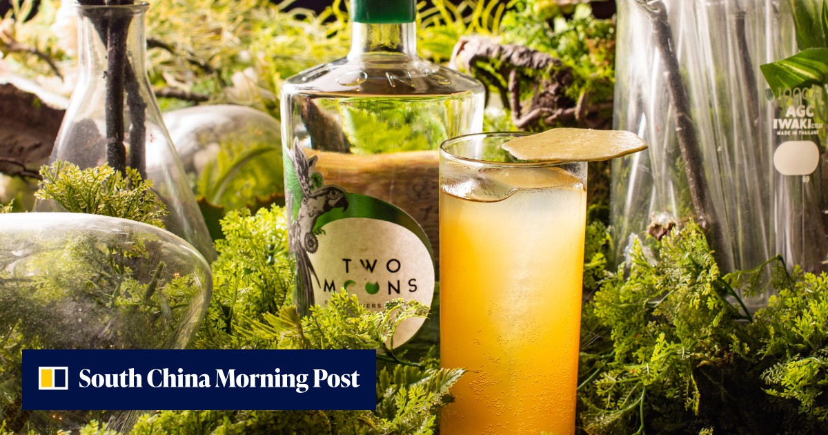 Hong Kong's home-grown brands are collaborating to serve up gin, liqueur-based cocktails with a local flavour - Vimarsana News