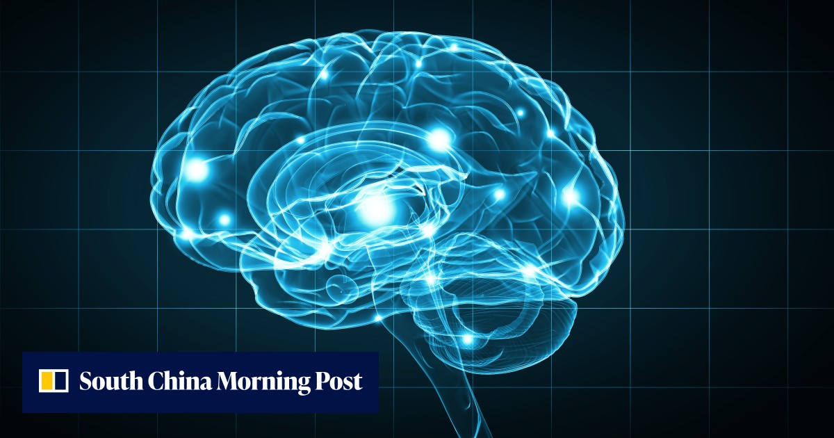 Human brain gene improves learning and memory skills of mice, study finds - Vimarsana News