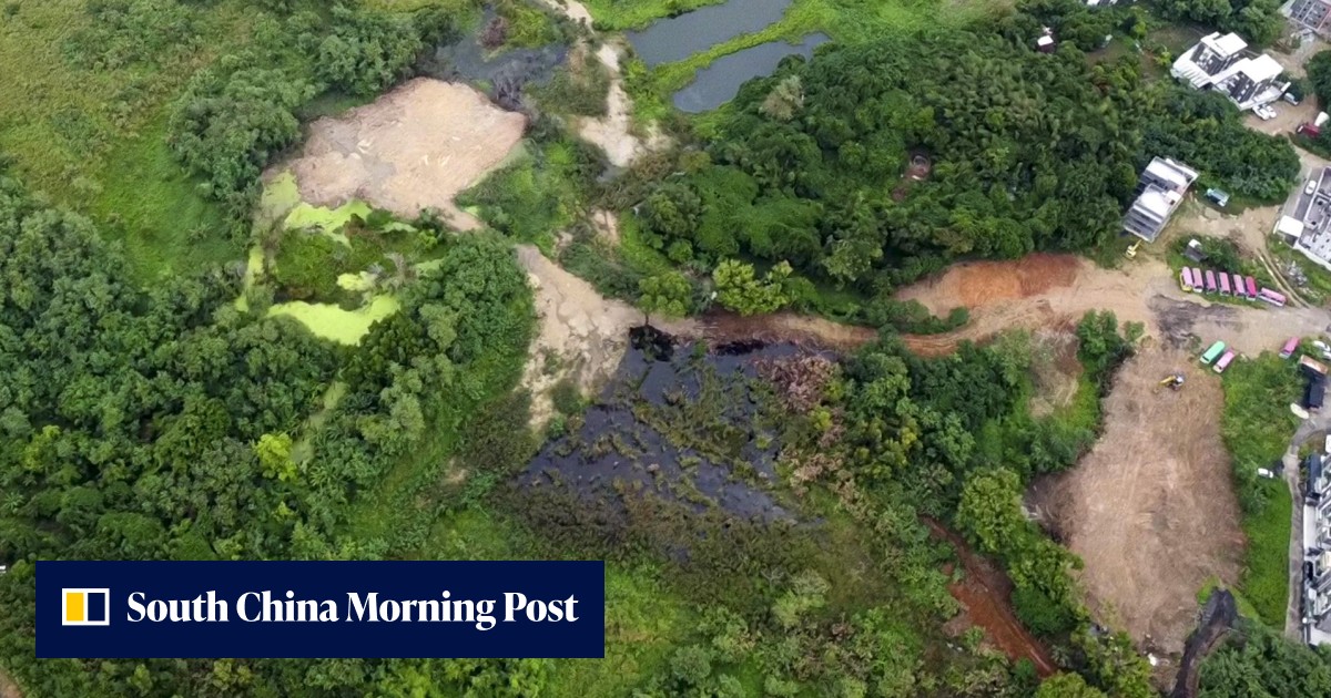 Hong Kong green campaigners find brownfield sites expanding into northern New Territories' nature conservation areas - Vimarsana News