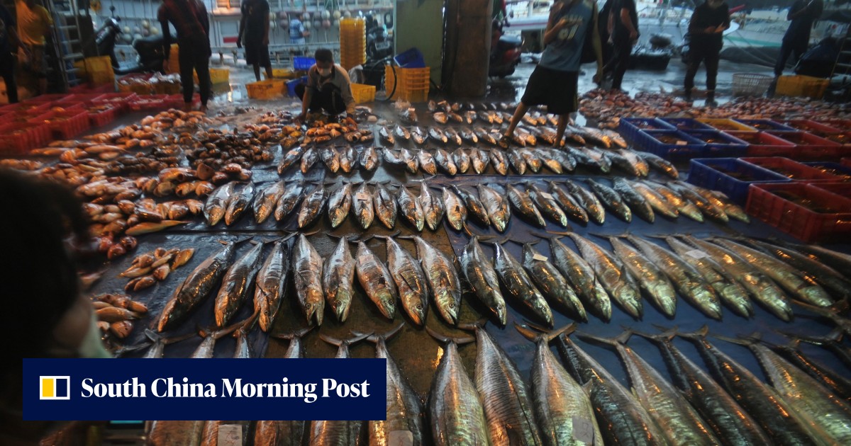 Taiwan voices 'regret, dissatisfaction' as China blocks more seafood exports - Vimarsana News