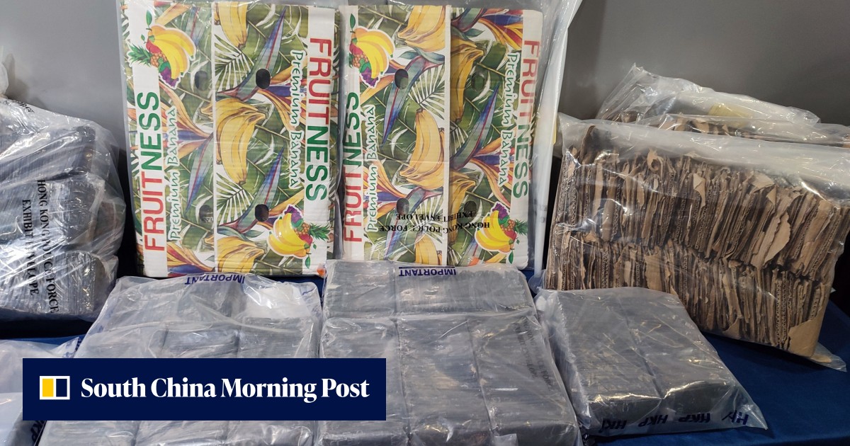 Police seize HK$97 million worth of cocaine, arrest jobless Hong Kong man in New Territories drug bust - Vimarsana News