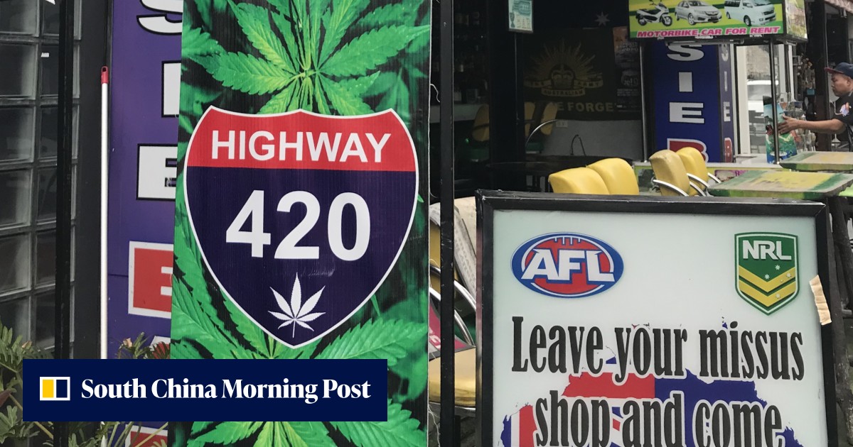 What is it like smoking marijuana as a tourist in Thailand? Weed dispensaries everywhere on a Phuket trip with a difference - Vimarsana News