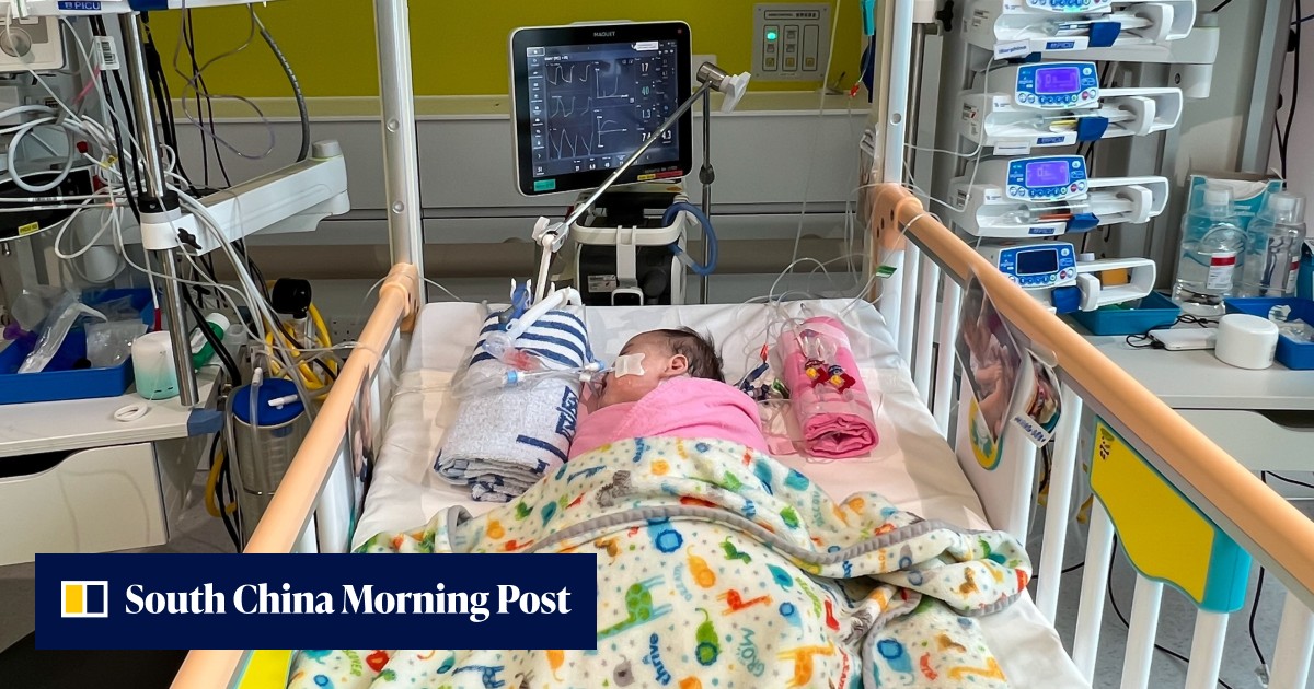 Hong Kong could greatly benefit from cross-border organ imports mechanism, doctors say after local baby receives heart from mainland China - Vimarsana News