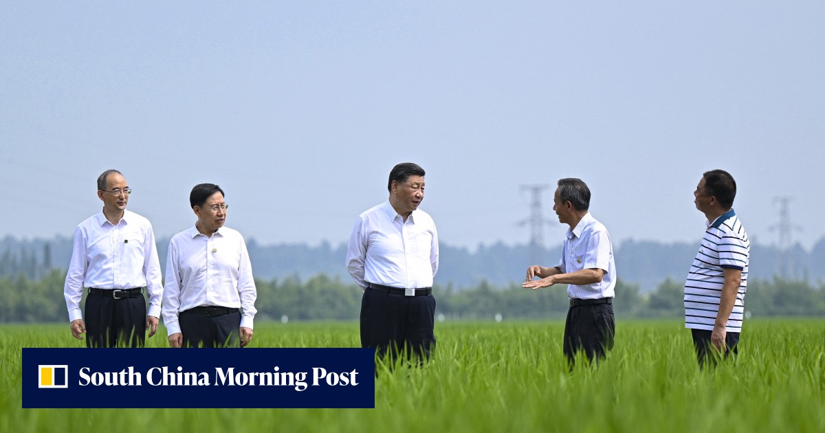 China's Xi Jinping repeats call for food security as US rivalry and external uncertainties grow - Vimarsana News