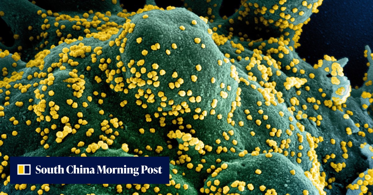 Coronavirus: Omicron BA.5 subvariant may cause more damage – not less: study - Vimarsana News