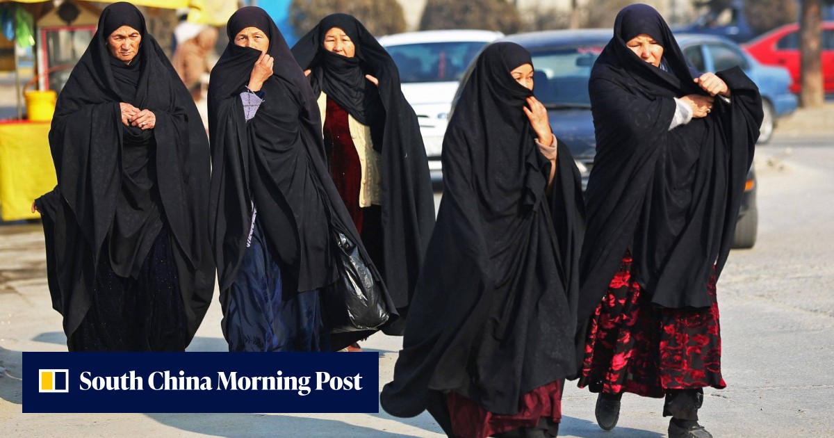 UN official meets Taliban deputy prime minister over women NGO ban - Vimarsana News