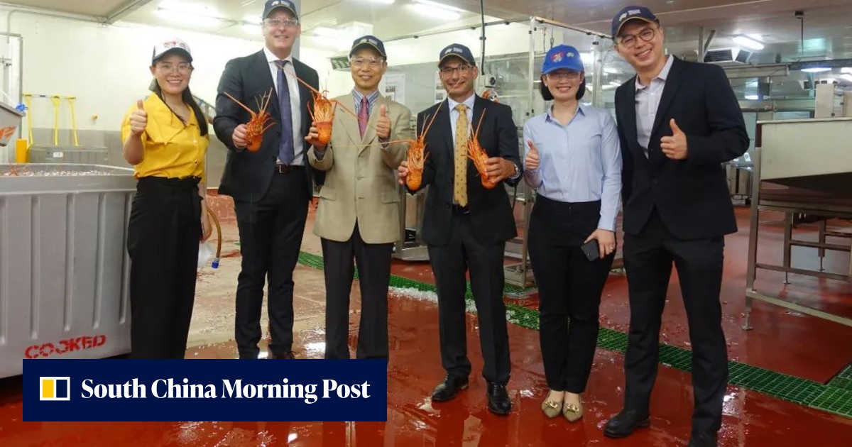 China-Australia relations: envoy's rock lobster visit raises hopes of further easing of trade bans - Vimarsana News