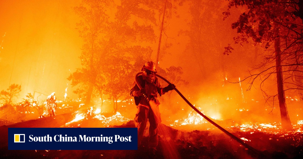 Wildfire study shows feedback loop between smoke and weather causes flames to spread - Vimarsana News