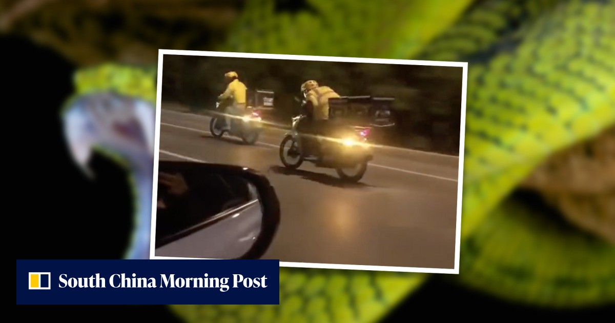'Fight against God of Death to save you': courier in China races to deliver antivenom to woman whose order form said she had been bitten by snake - Vimarsana News