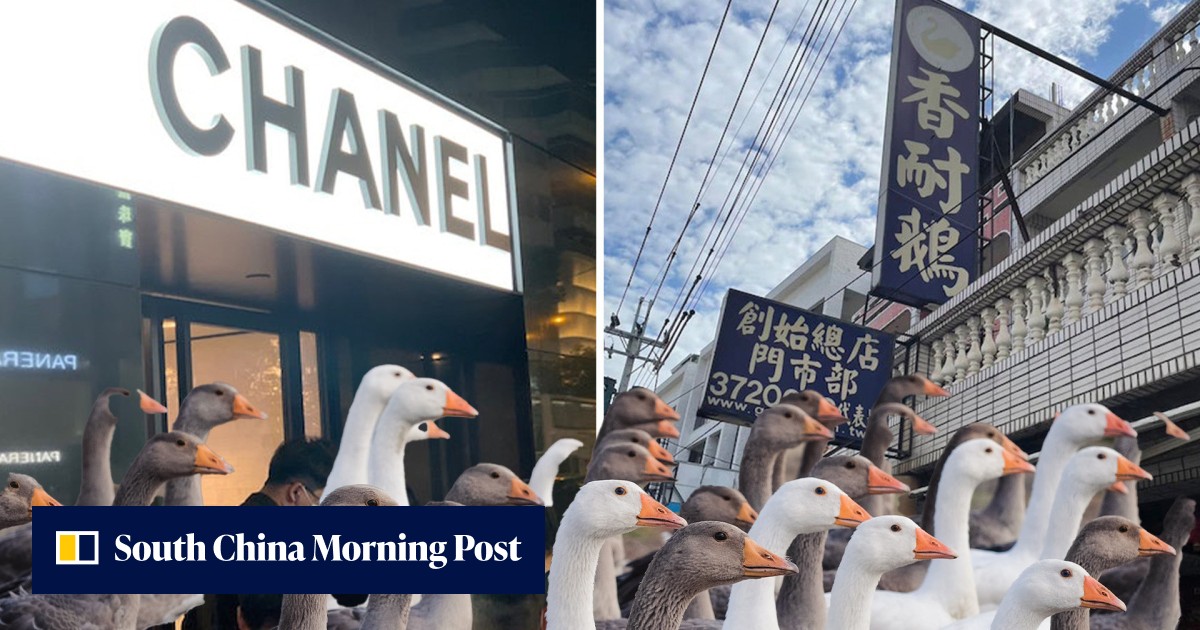 'It's goose meat, not Chanel': excited Chinese wife gets dolled-up for top-brand fashion outing only to find husband taking her to meat store - Vimarsana News