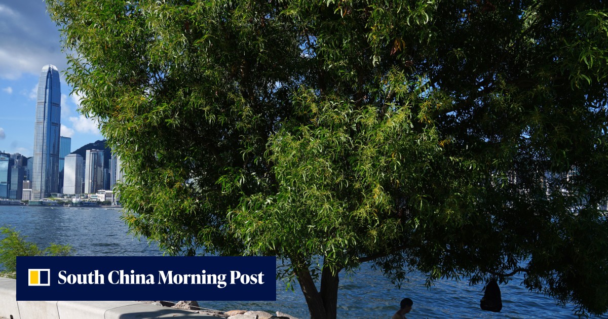 Climate change: why Hong Kong needs to do more to help green-tech start-ups with carbon-reduction certification - Vimarsana News