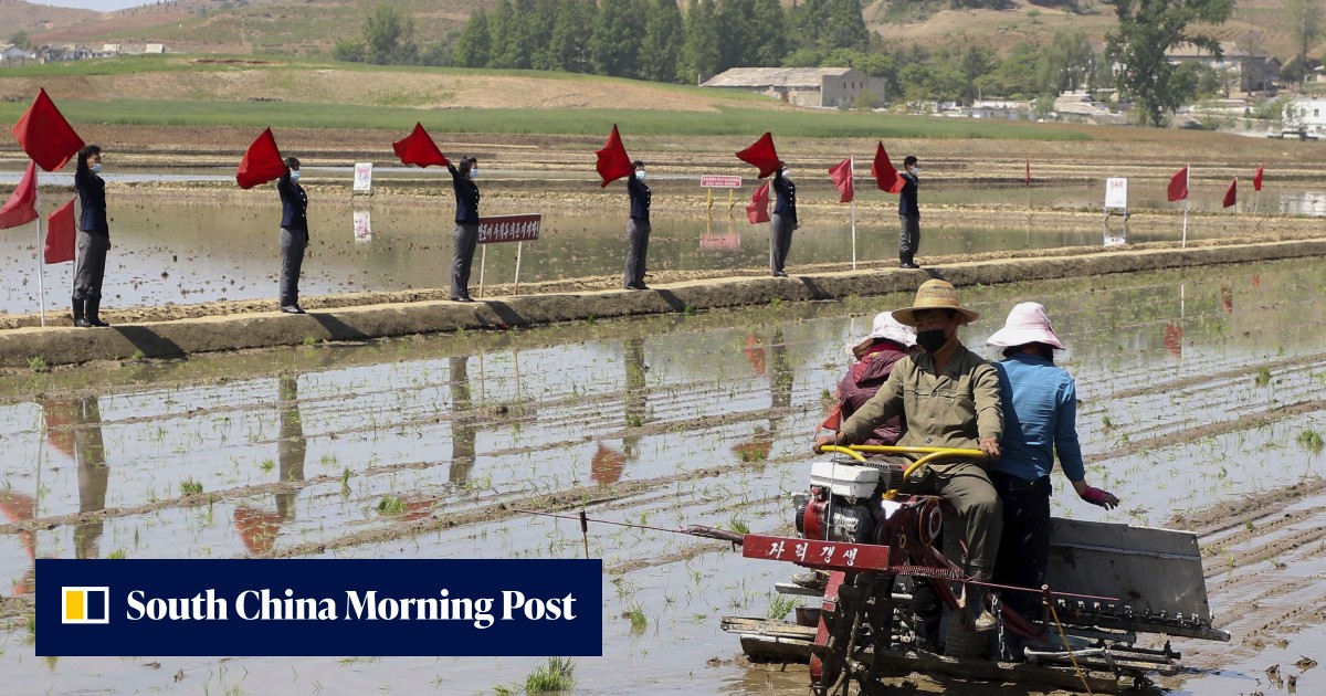 North Korea food shortage worsens amid Covid-19, but no famine yet - Vimarsana News