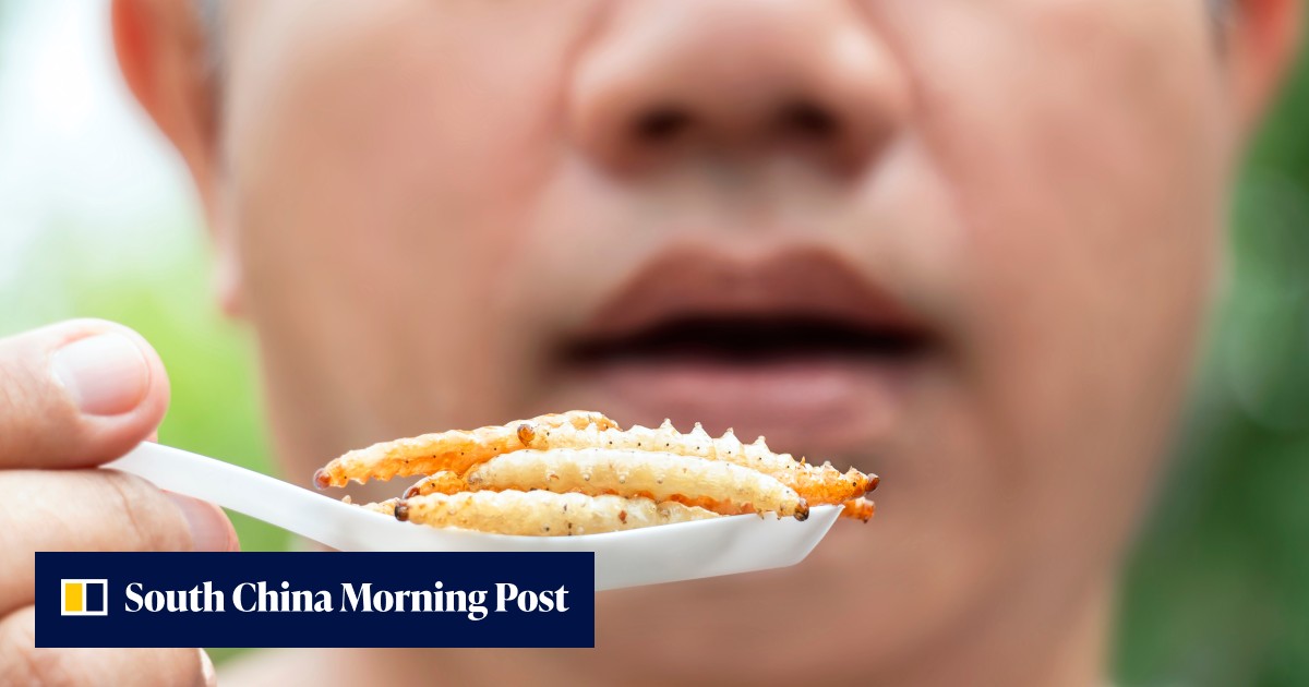 Can of worms: Polish politicians give each other a mouthful over edible insects - Vimarsana News