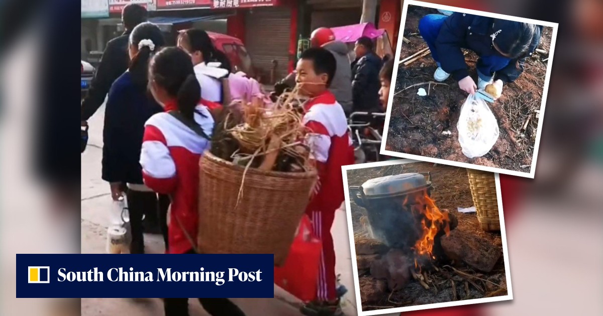 'Spring cookout' at primary school in China allowing students to cook for themselves goes viral, splits opinion on safety versus independence - Vimarsana News