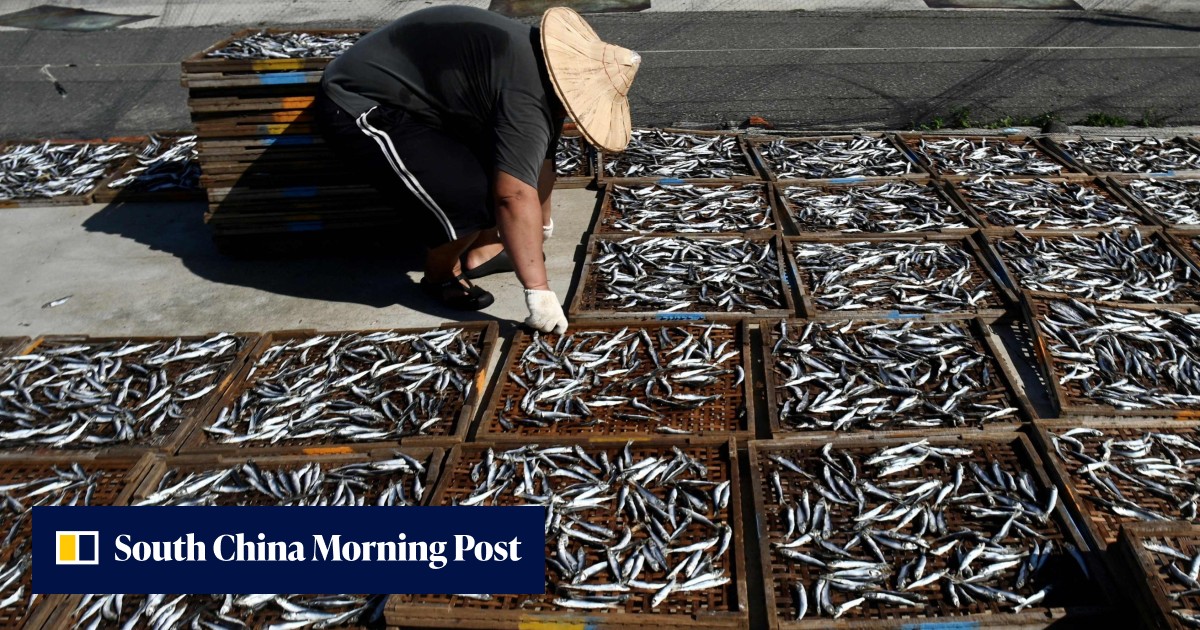 China resumes Taiwanese fish imports in sign of economic thaw, to 'promote healthy cross-strait trade' - Vimarsana News