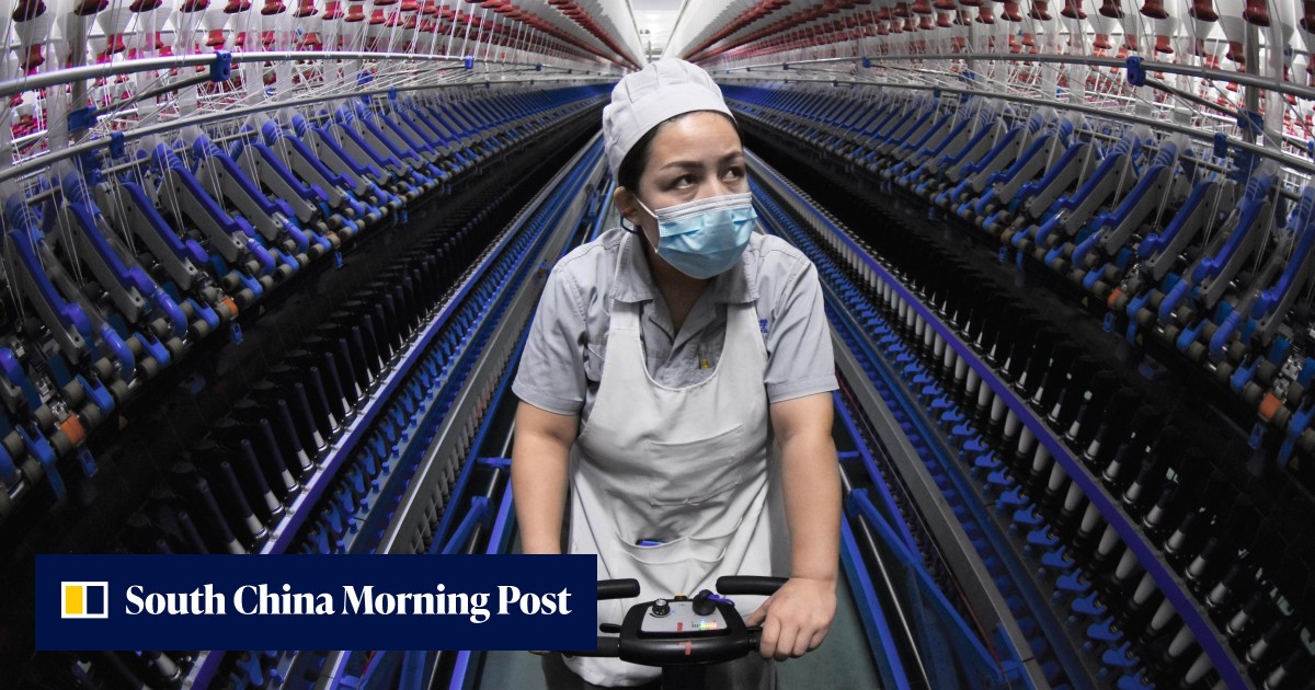 China trade: Xinjiang's US exports down 90 per cent in February, 8 months after 'forced labour' law came into effect - Vimarsana News