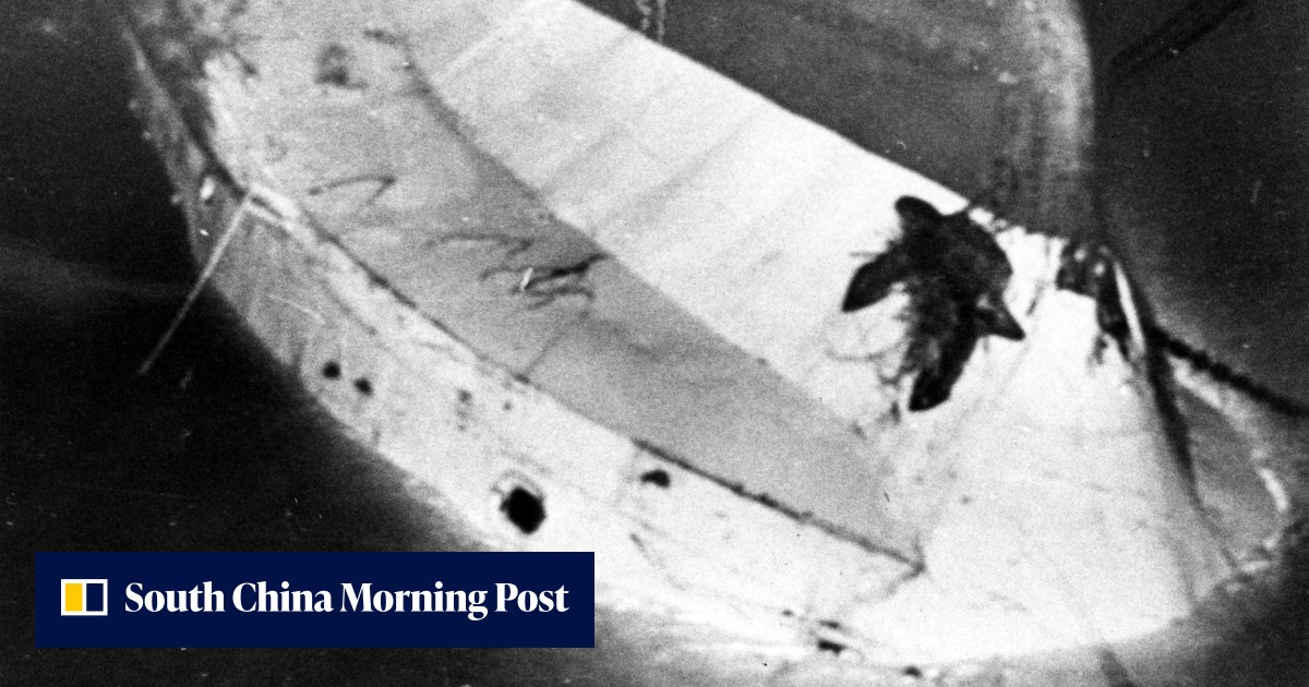 When a Chinese ferry capsized, causing dozens to drown, and Hong Kong passengers who survived said they were 'lucky to be alive' - Vimarsana News