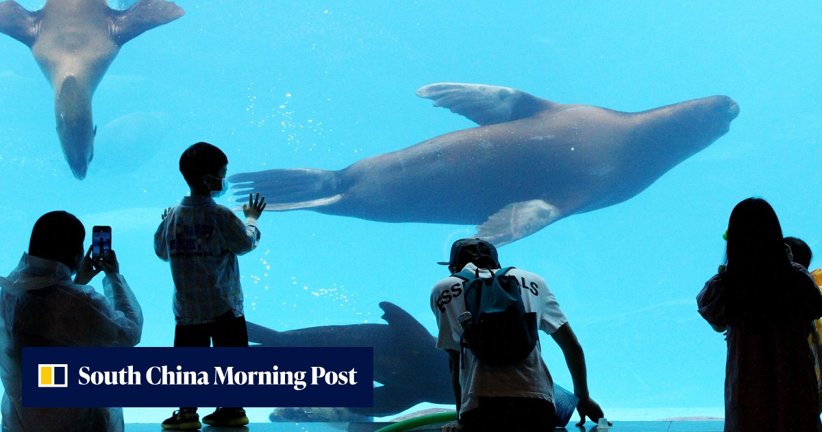 China's Haichang secures deal to develop theme parks, zoo and safari in Saudi Arabia - Vimarsana News