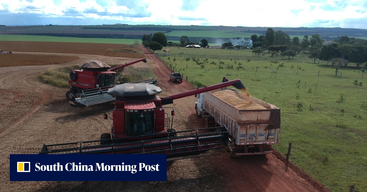 New US-China soy centre to share American agricultural expertise with Chinese farmers - Vimarsana News