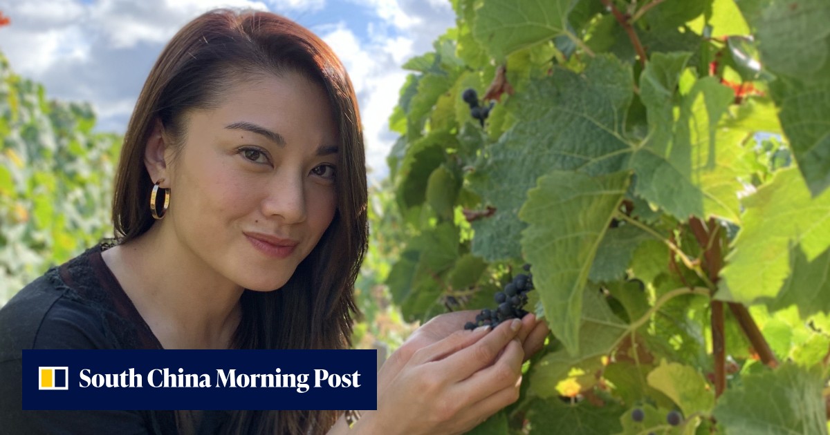 Bernice Liu's journey from TVB queen to wine maven: the Hong Kong-based Bellavizio founder and Miss Chinese International 2001 winner talks F&B ventures, showbiz and what's next – exclusive interview - Vimarsana News