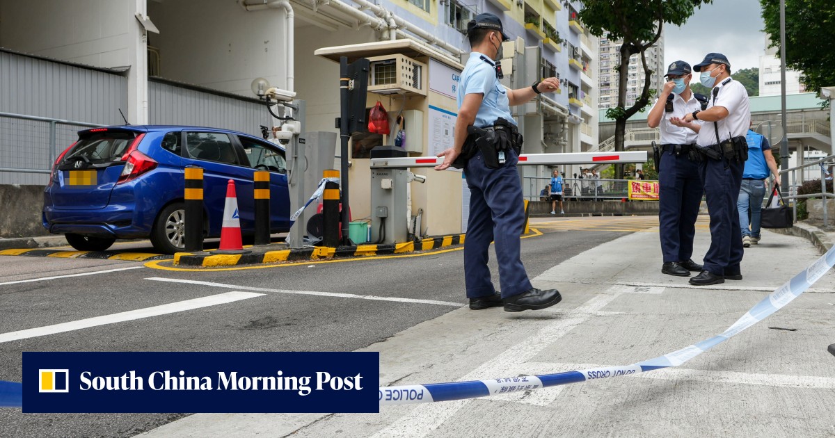 Hong Kong police arrest driver, 29, linked to manslaughter of elderly security guard in Sha Tin after suspected fight over parking fees - Vimarsana News