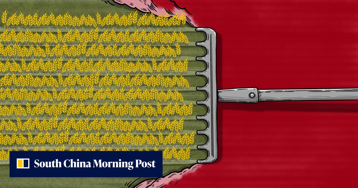 How China's farmland-reclamation campaign is driving aggressive crop expansions and land-use crackdowns - Vimarsana News