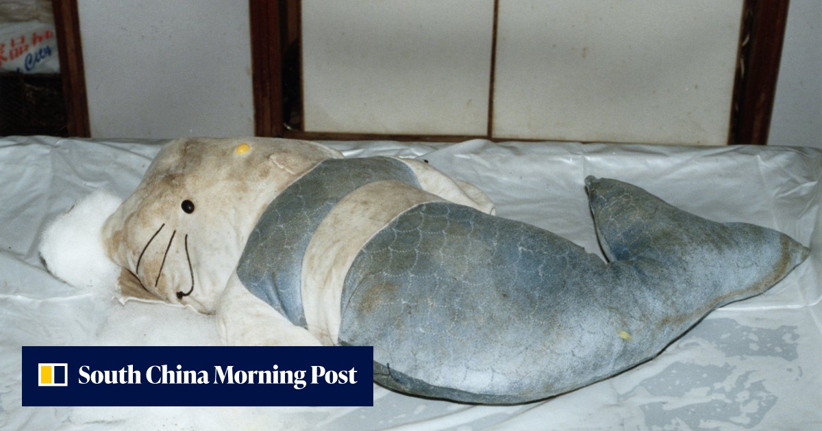 Hong Kong's Hello Kitty murder case: when a young woman was killed and her dismembered body found in three bags - Vimarsana News